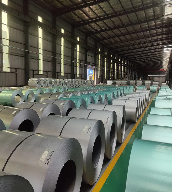 Galvalume & Galvanized